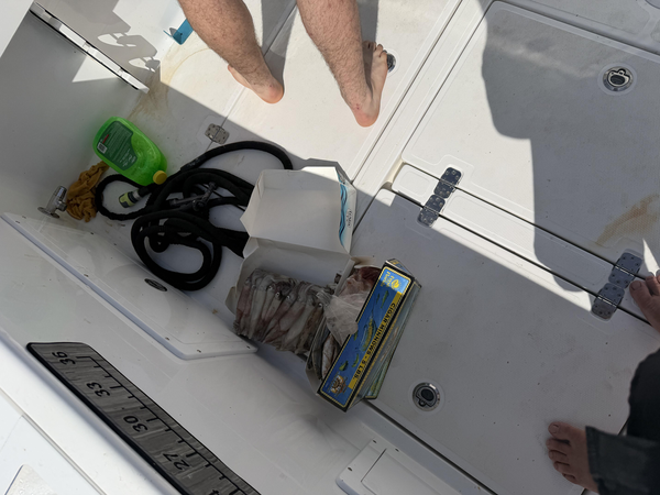Drop Zone Fishing