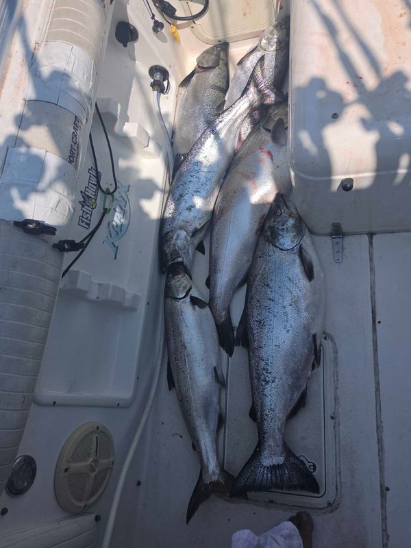 Dry Creek Charters