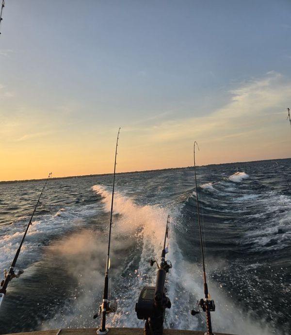 Maykin Baykin Charters