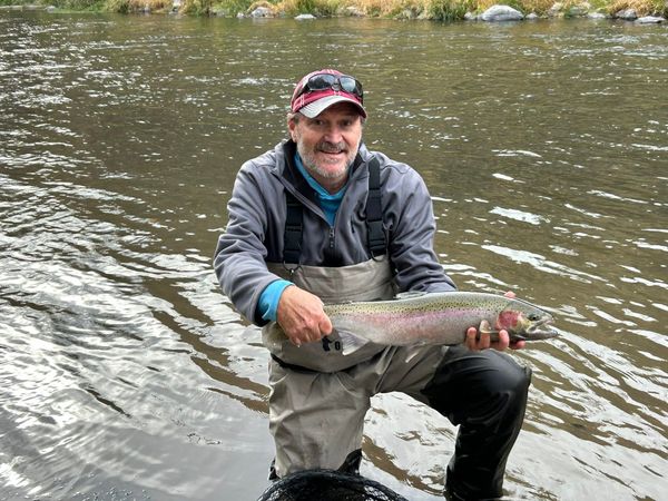 OnlyFins Guide Service