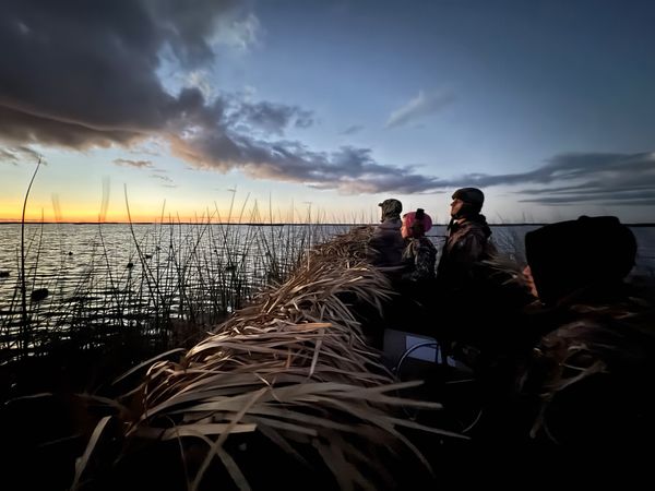 Salty Pirate Fishing Charters