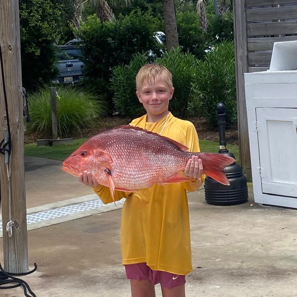 Bulletproof inshore charters