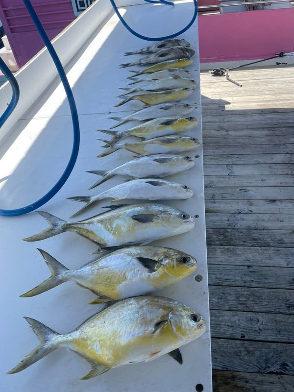 Bulletproof inshore charters