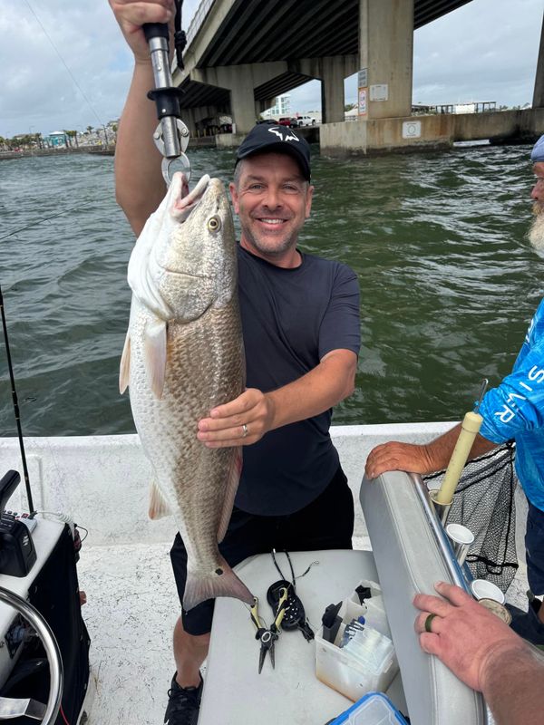 Bulletproof inshore charters