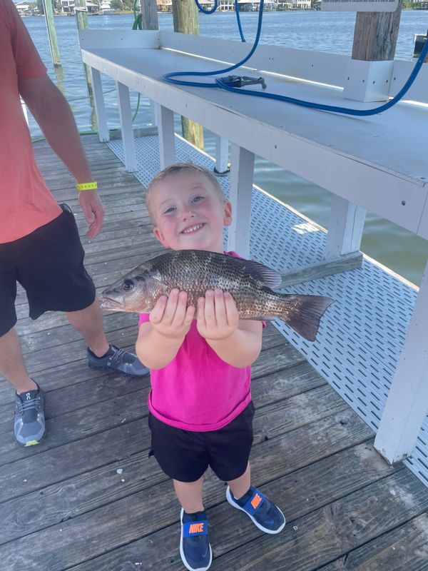 Bulletproof inshore charters