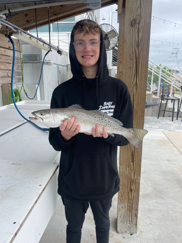 Bulletproof inshore charters