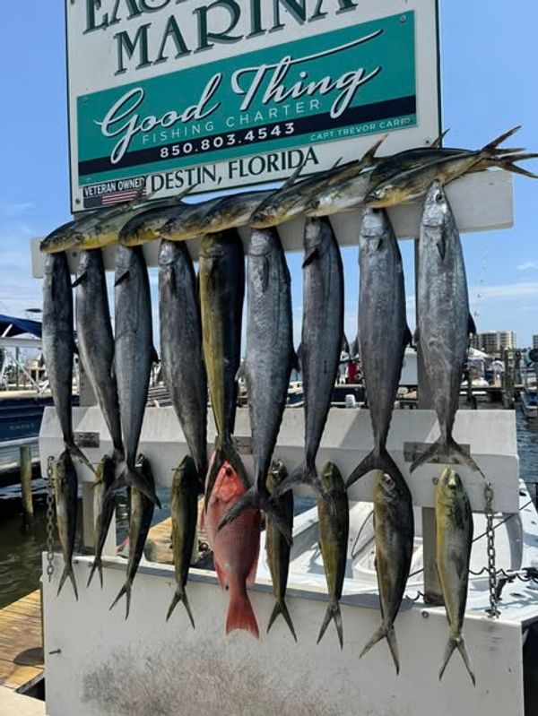 Good Thing Fishing Charter