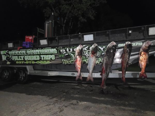 Buckeye Bowfishing