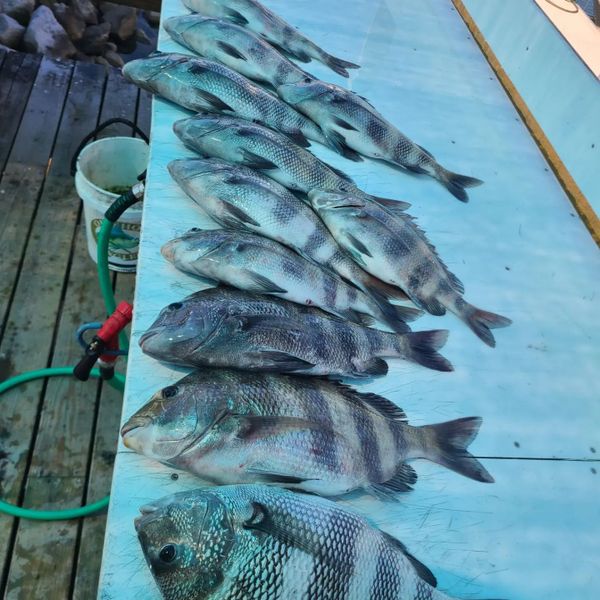 Fishing made EZY 
