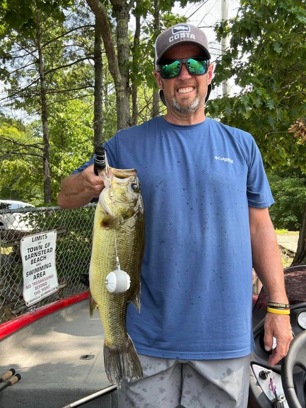 Lake'N Land Guide Services, LLC