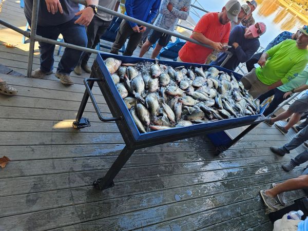 Borderline Crappie Trips