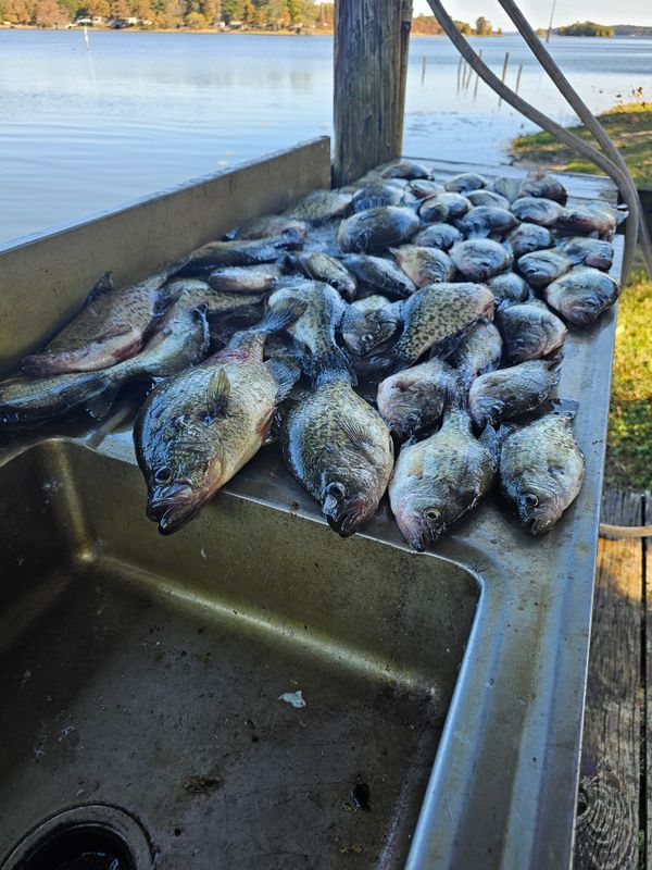 Borderline Crappie Trips