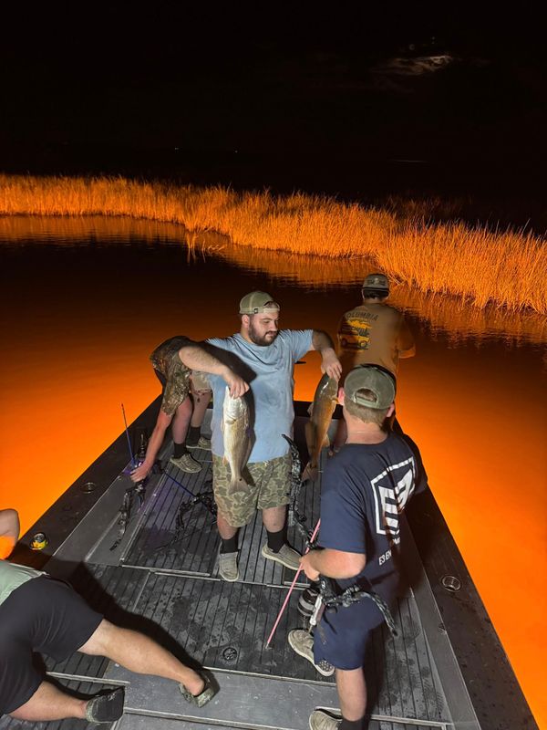 Marsh Assassin’s Bowfishing