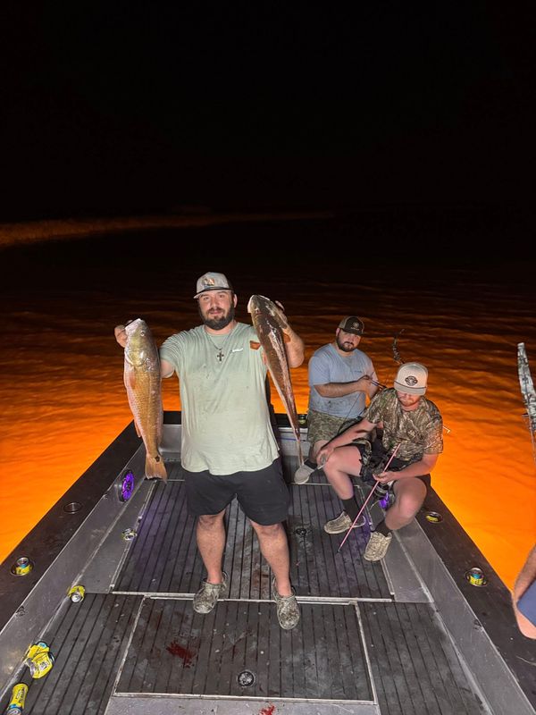 Marsh Assassin’s Bowfishing