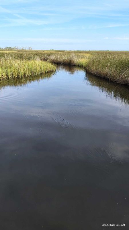 Snook Sniper Backwater Adventures 