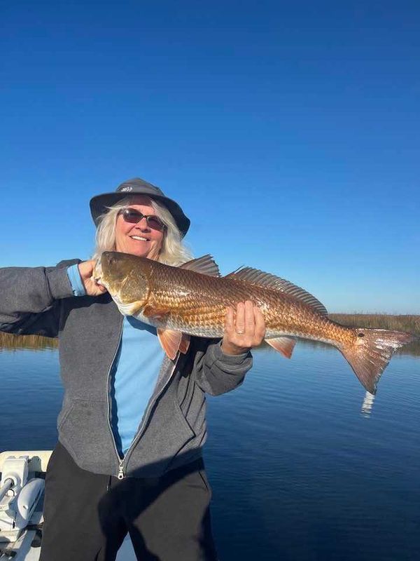 Snook Sniper Backwater Adventures