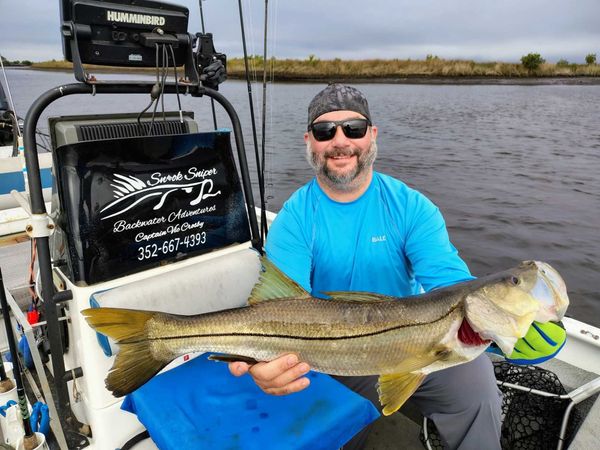 Snook Sniper Backwater Adventures