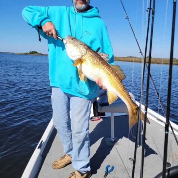 Snook Sniper Backwater Adventures 