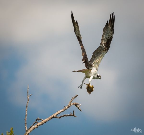 True Florida Expeditions