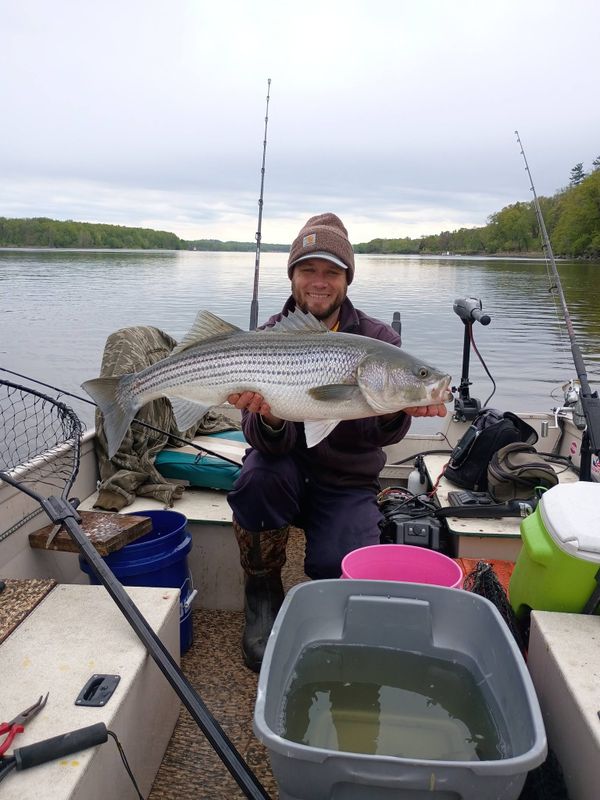Ah shore thing fishing charters