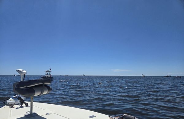 DC Marine Fishing Charters