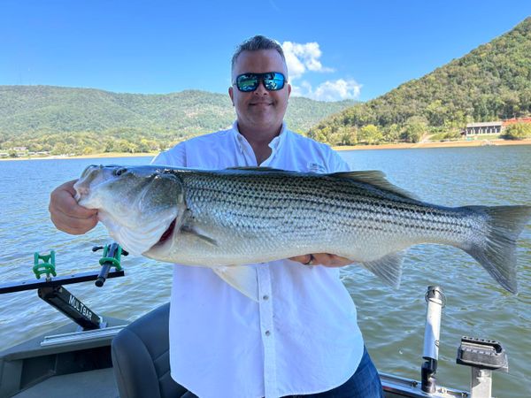 StriperXtreme Guide Service