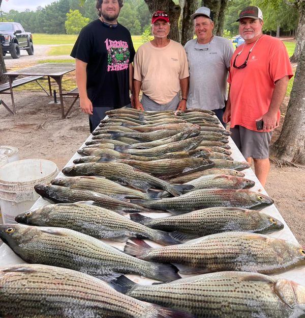 William Sasser Guide Service