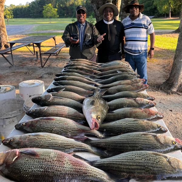 William Sasser Guide Service