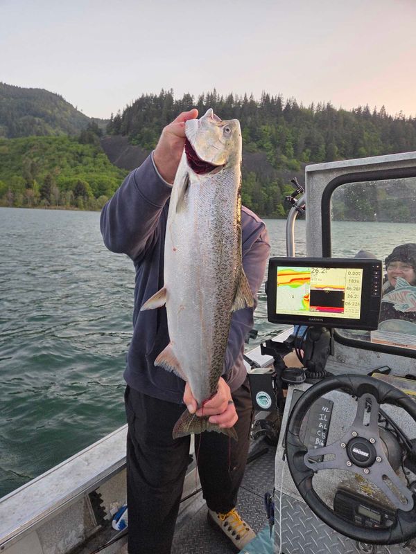 Riverlife Guide Service