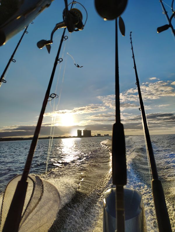 Got'em Fishing Charters