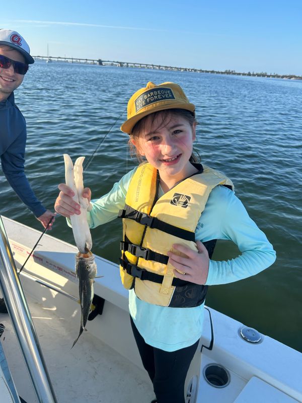 Flight Risk Charters