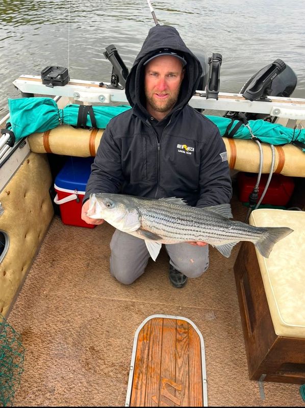 Austin Charters