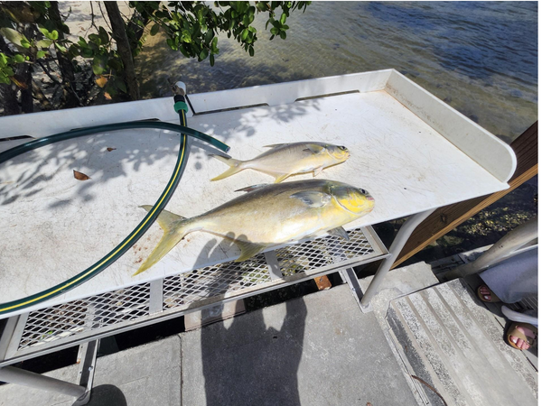 Catch 22 Fishing Charters