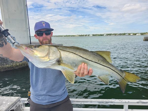 Catch 22 Fishing Charters