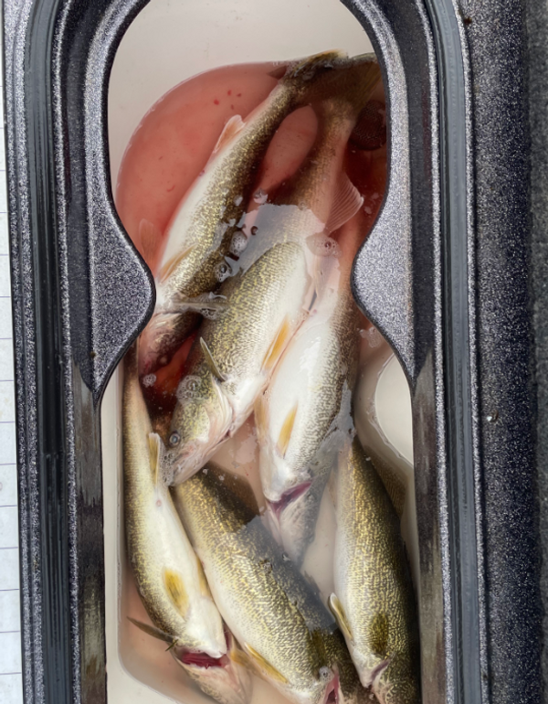 Sweetwater Charters