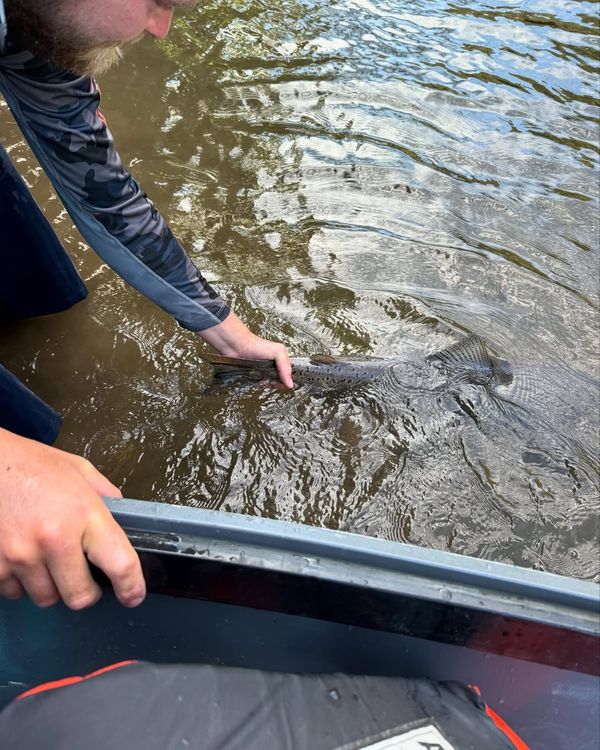 Robles Sport Fishing