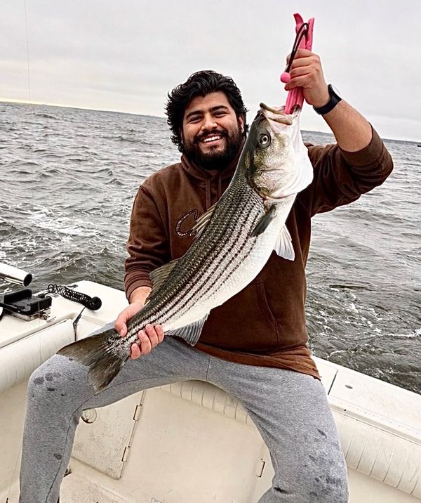 Hook & Fin Fishing Charters