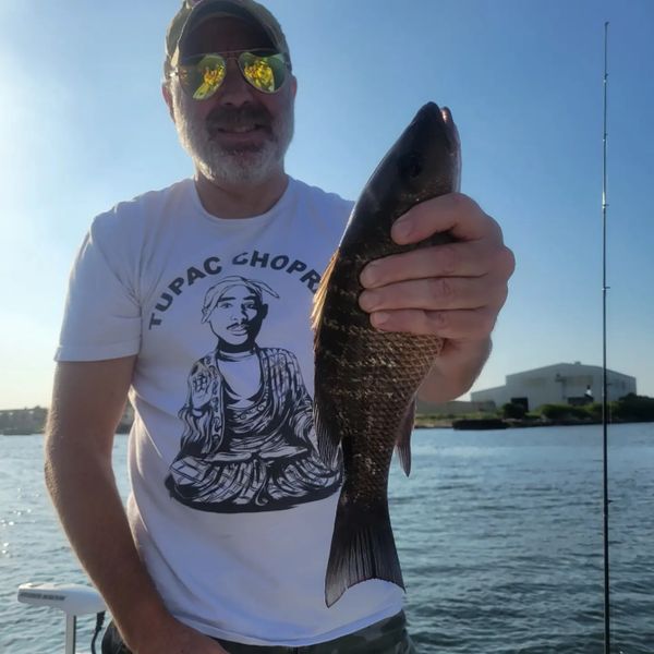 Florida Professional Charters