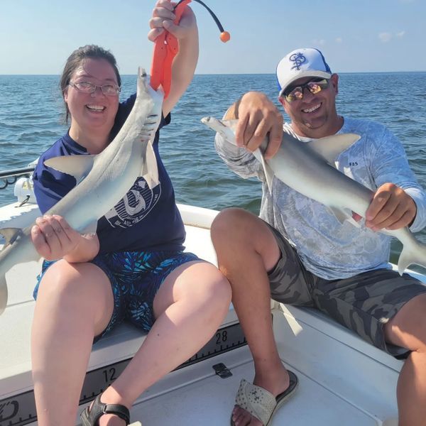 Florida Professional Charters