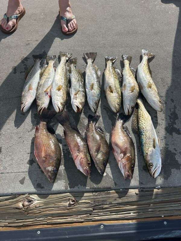 Chum em up charters
