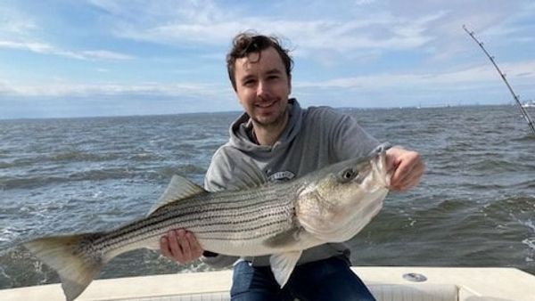 Scaled Up Fishing Charters