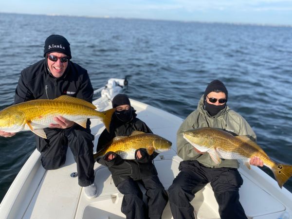 Perdido Key Fishing Charters – II
