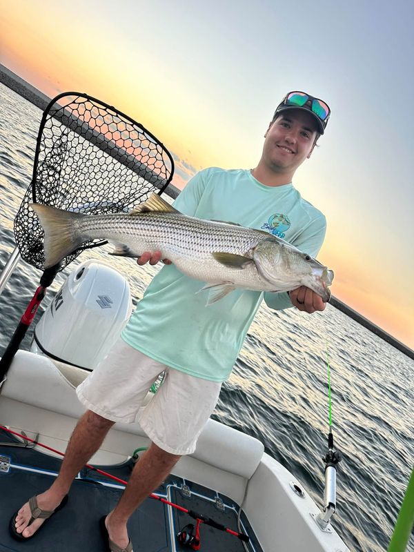 Rod Bendin guide service 