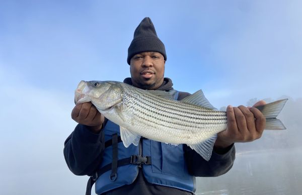 Rod Bendin guide service 