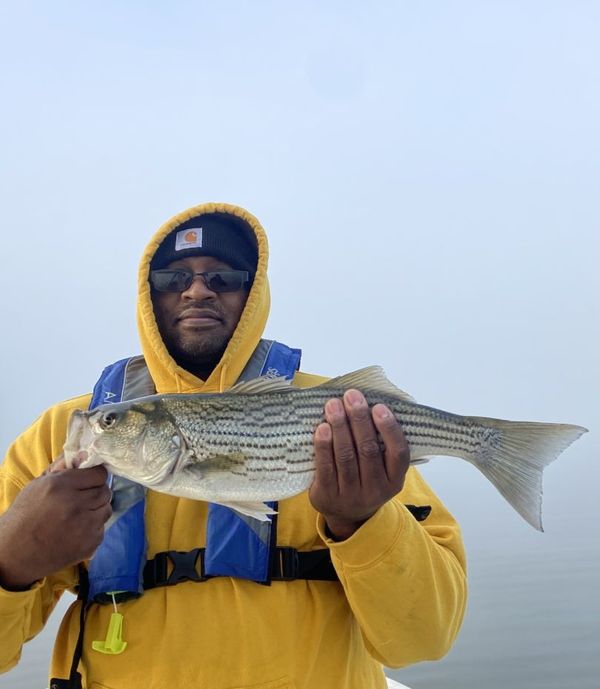 Rod Bendin guide service 