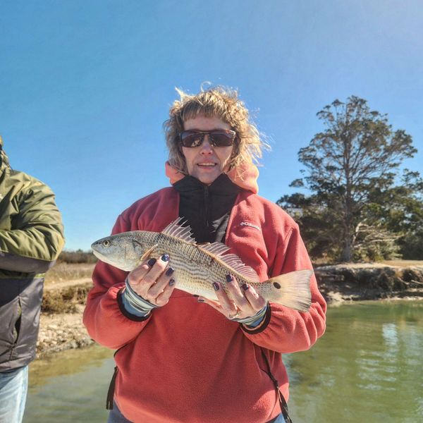 Top Predator Adventures