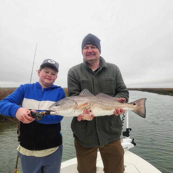 Top Predator Adventures