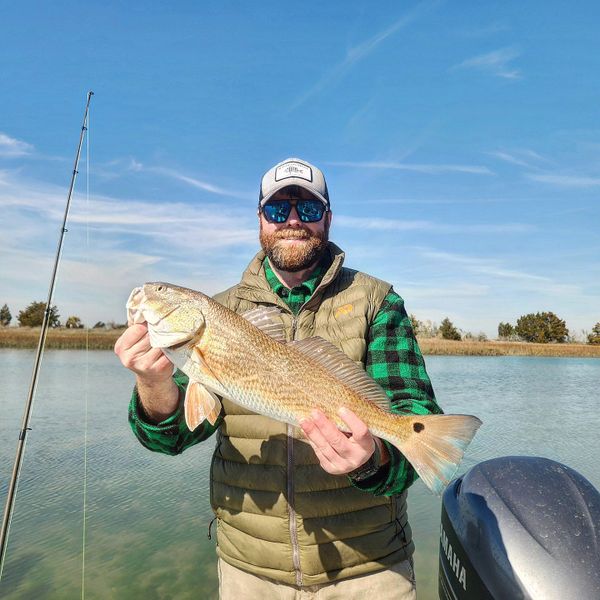 Top Predator Adventures