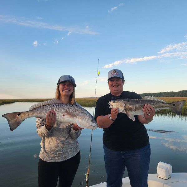 Top Predator Adventures