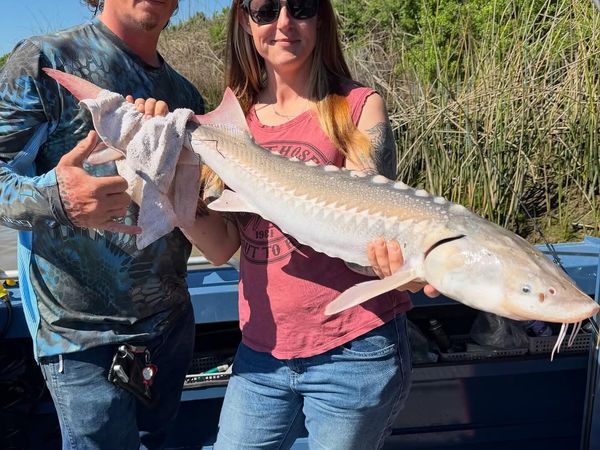 Norcal Traditions Sportfishing